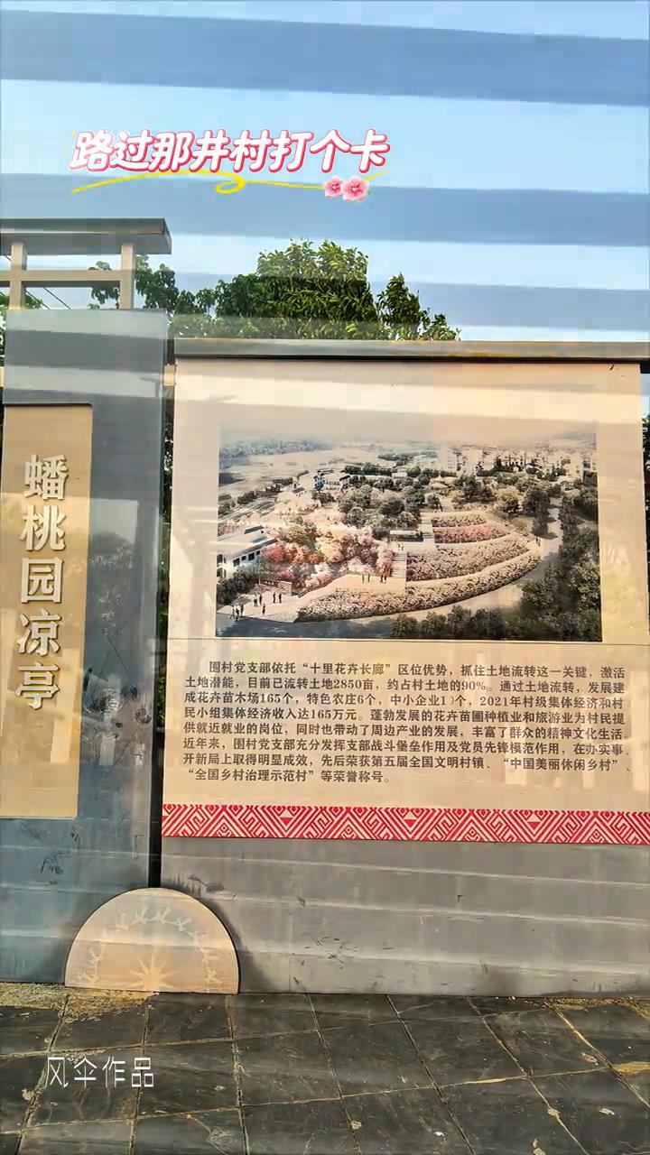 路过那井村打个卡。