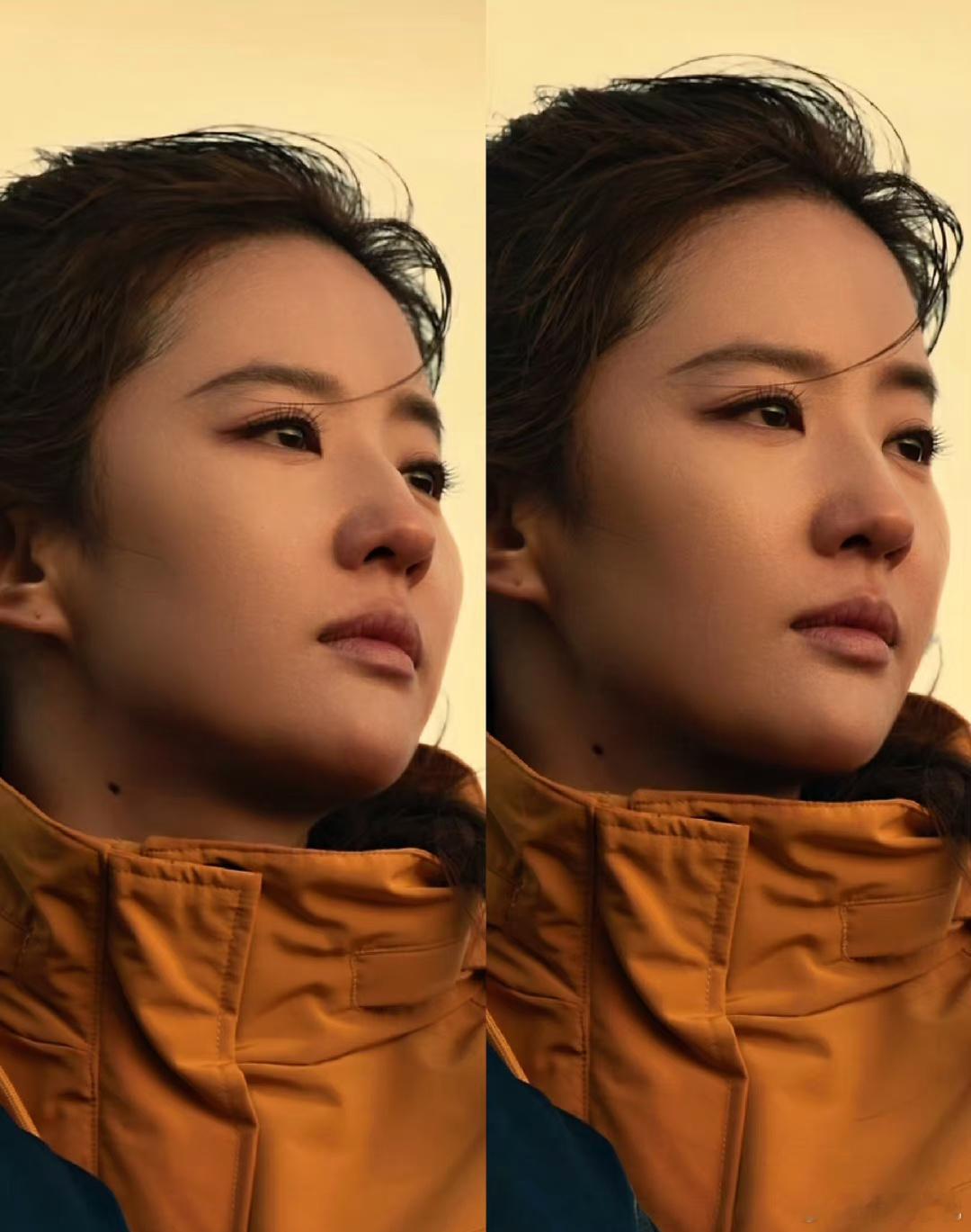 #刘亦菲同款冲锋衣卖断货#最后一幕《告别》#玫瑰的故事# ​​​