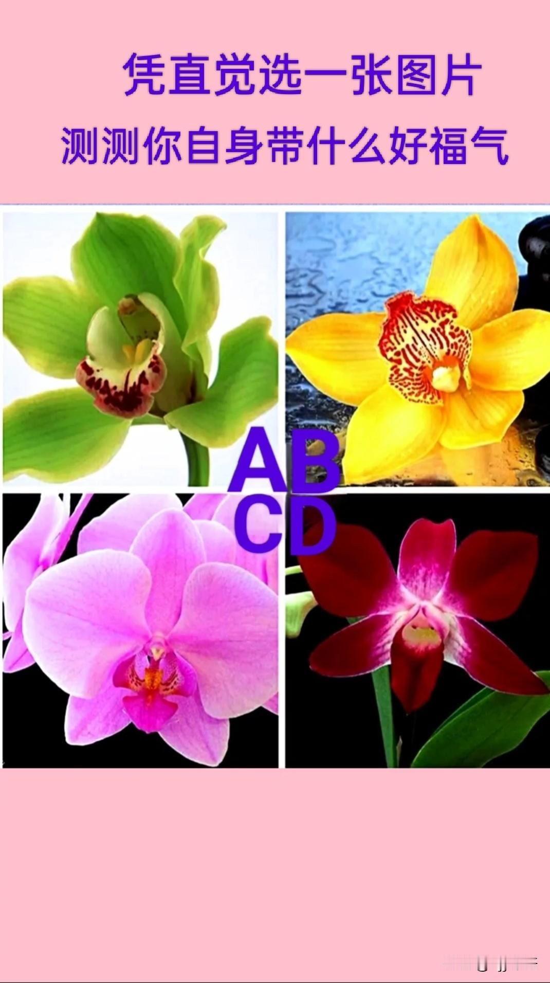 晒图笔记大赛凭直觉选一张图片测测你自身带什么好福气