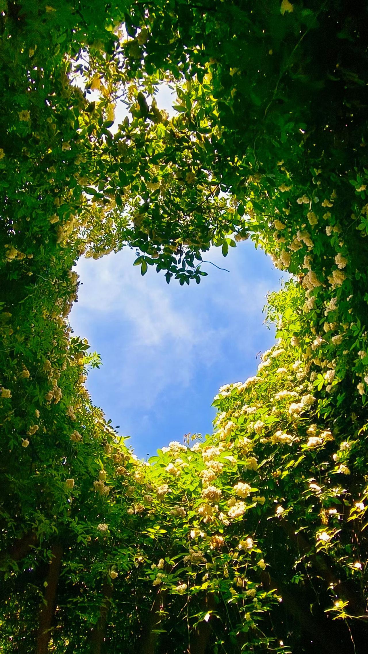 我在用豆包时发现，豆包会撒谎，还很会给自己圆场。
     我就试着给她说，1，