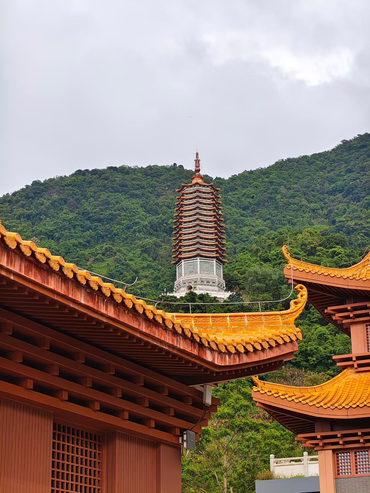 高质量的独处 ！一点都不孤独 ！你可以读书和很多智者在一起链接那份频率！ 