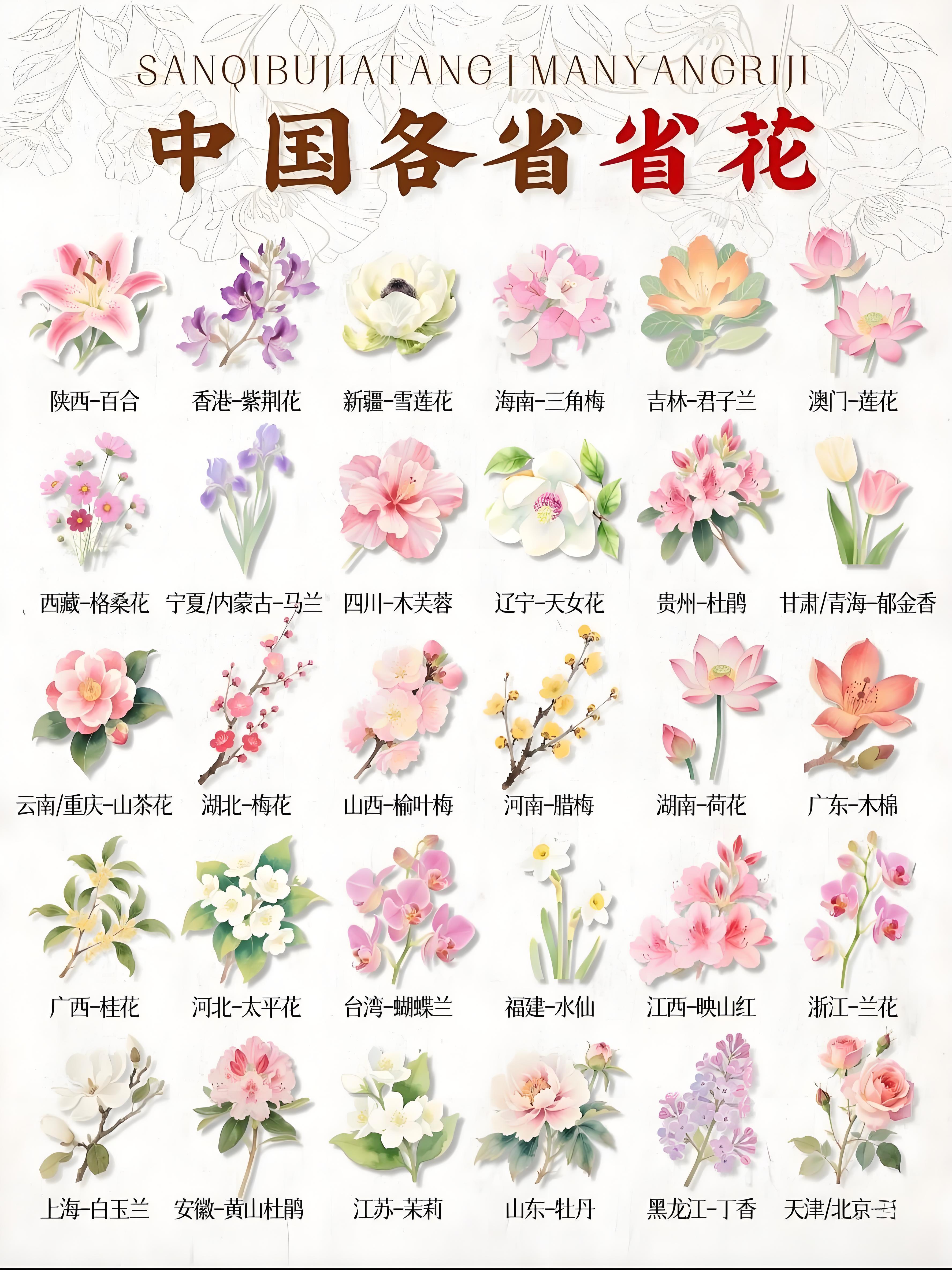 码一个各省省花，天津/北京的省花是月季。 