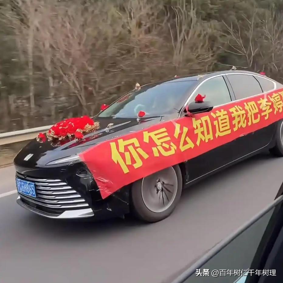 2026年2月11日，一辆从上海驶往河南的婚车悄然驶入公众视野。车身上贴着一句朴