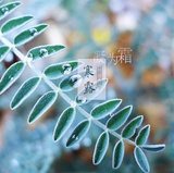 清风爱逛影视剧
