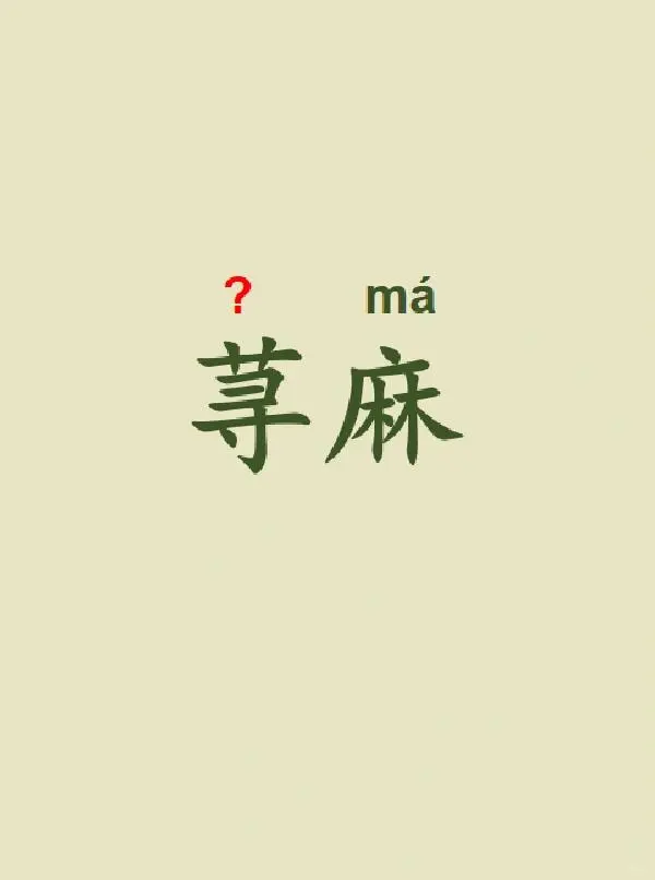 今天来学习——荨麻