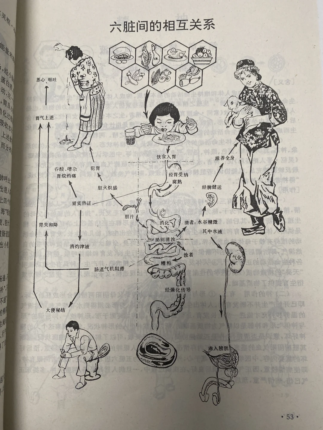 终于🈶书把五脏六腑的关系说清楚了‼️