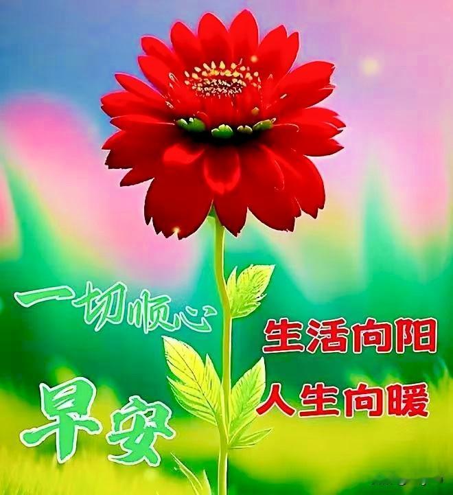 今天的运明天的福，
祝你一生都快乐。
早也安，晚也安，
祝你天天都安康。
人也好