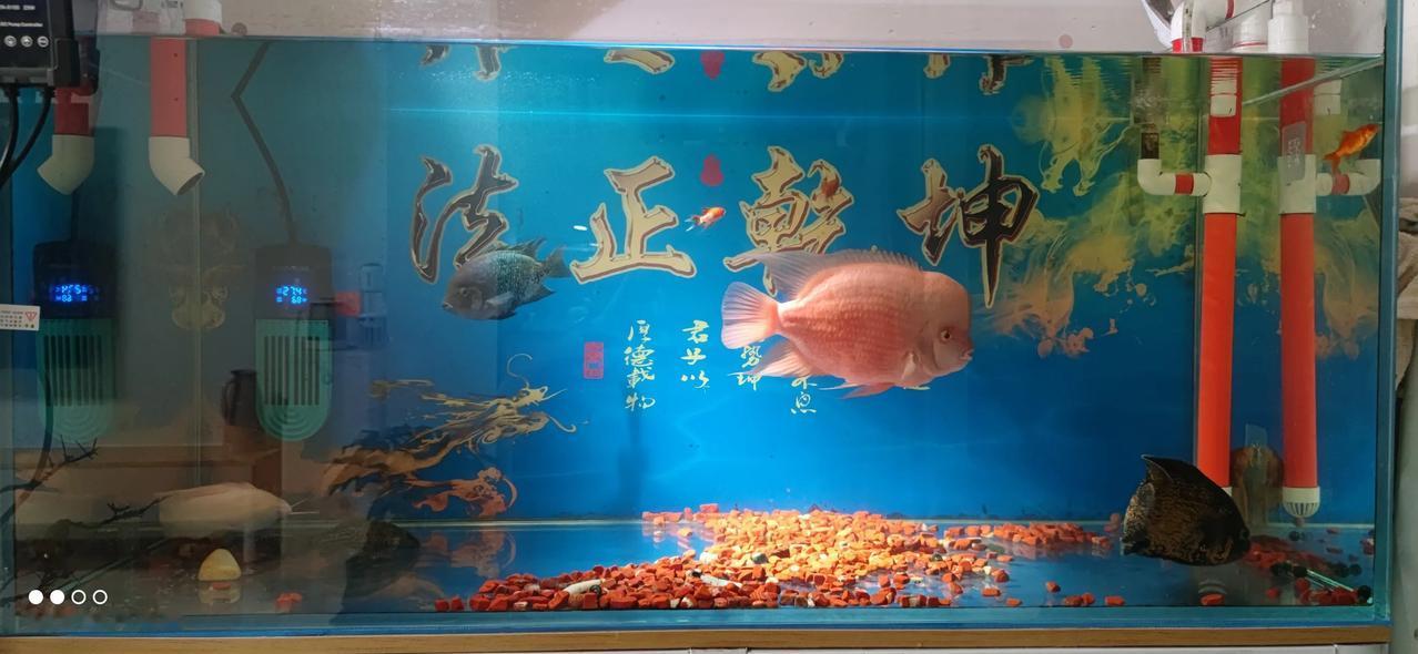 实习律师第155天
        实习律师再不能垫付诉讼费了！
       