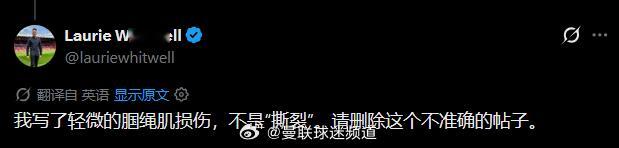 LW重申关于芒特的伤病我写了轻微的腘绳肌损伤，不是“撕裂”。 