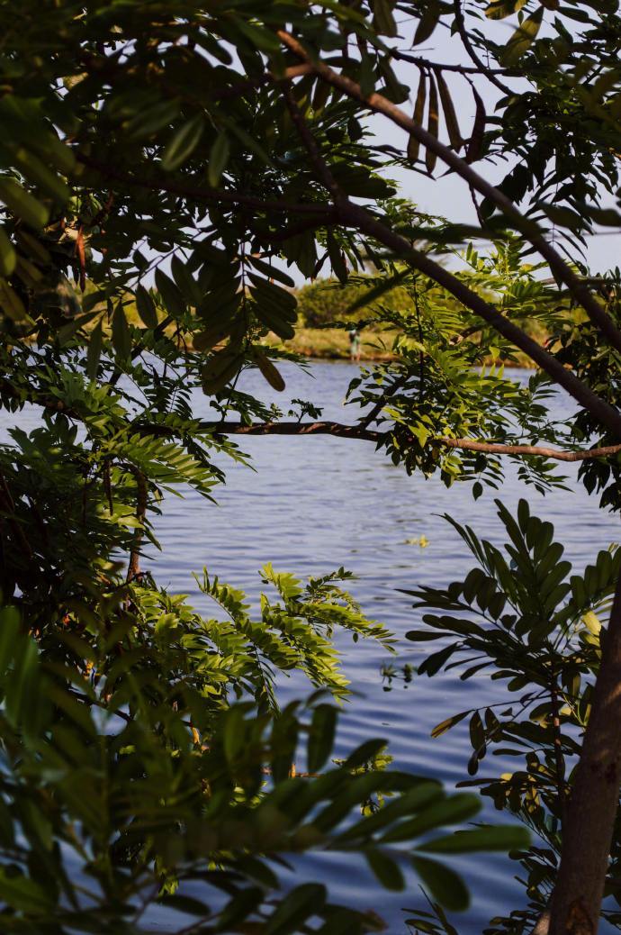 “你连想改变别人的念头都不要有。要学太阳一样，只是发出光和热，每个人接收阳光的反