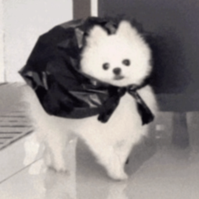 马龙的精力真的好可怕吧，在米兰时差没倒过来就早起健身连轴转，工作结束难得有空闲时