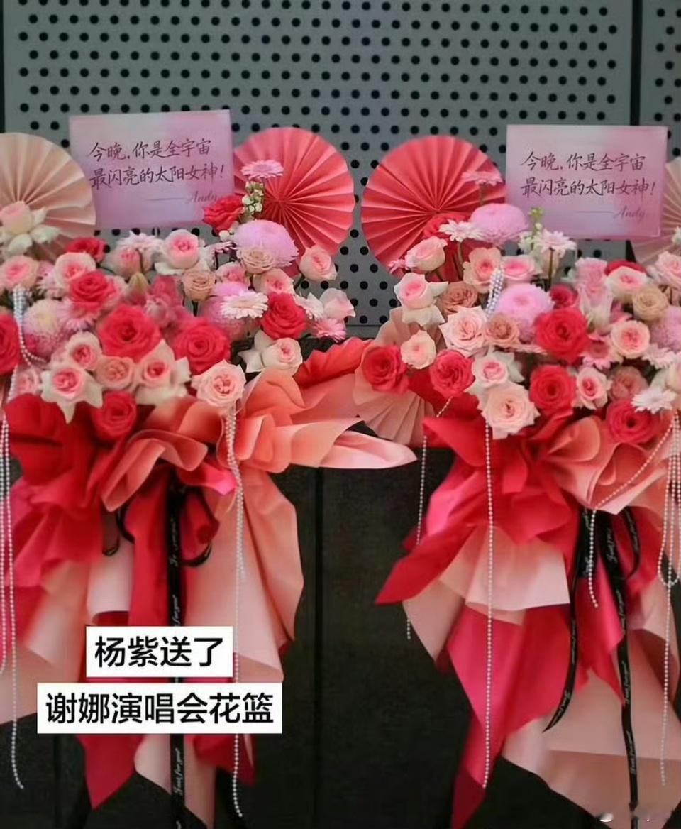 杨紫送谢娜演唱会花篮杨紫为谢娜成都演唱会定制花篮的祝福语"今晚，你是全宇宙最闪亮
