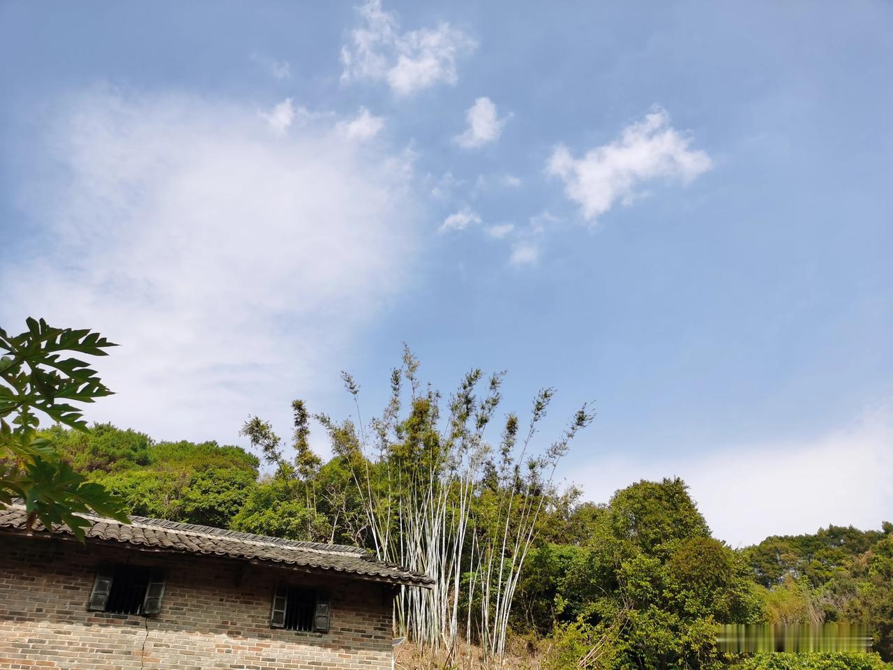 天南地北大拜年戳这里，一起放烟花>好多天没有见过太阳，近期不是阴天就是雨天