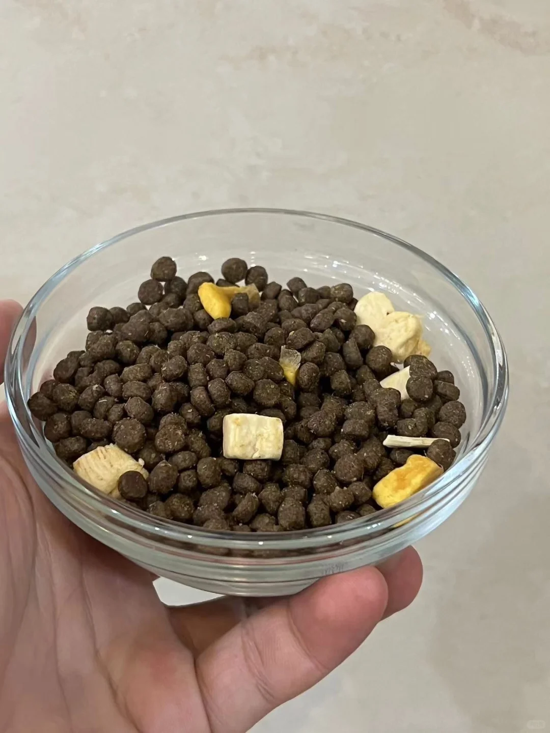 养猫就是不停的买猫粮！！