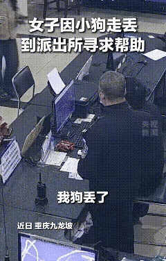 狗狗和主人心有灵犀，同时出现在同一个派出所，只不过是主人来派出所报案，说自己家的