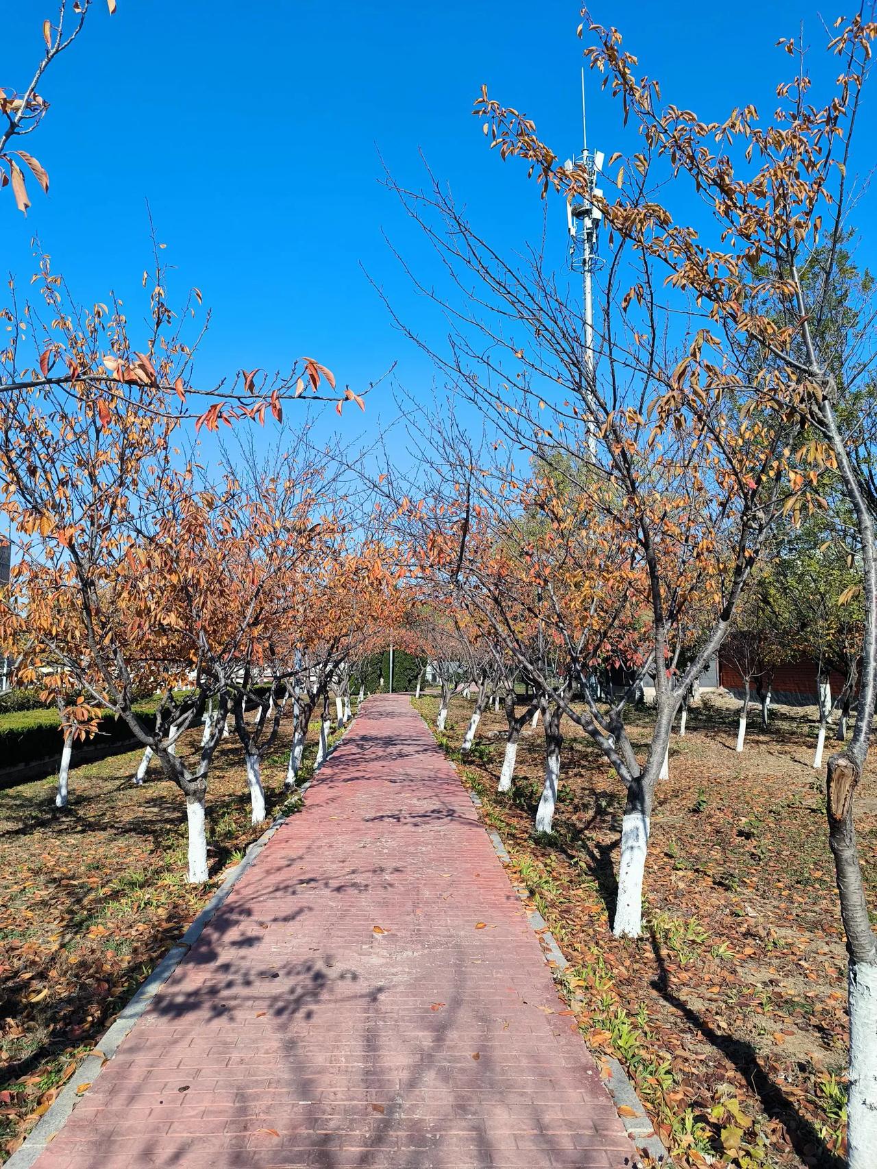 双师课堂，你赞成吗？

有些学校让班主任跟班，如果是自习课班主任跟班有情可原，关