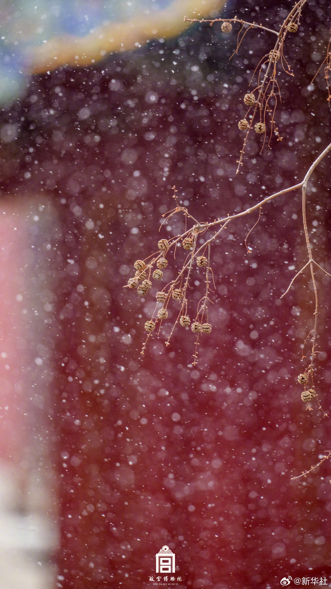 【早安！#送你一组故宫雪景美图#】12日，北京故宫博物院迎来今冬初雪，庭院深深，