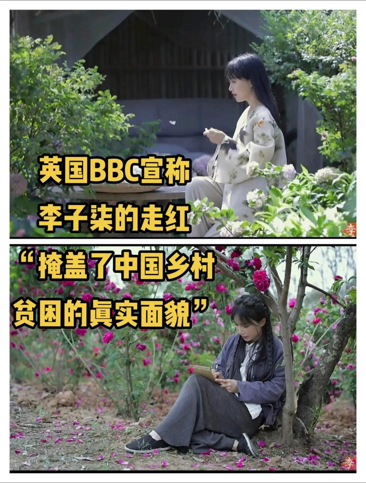 李子柒走红让英国媒体抹黑中国的部门临近失业，他们在李子柒作品里找不到瑕疵就开始攻