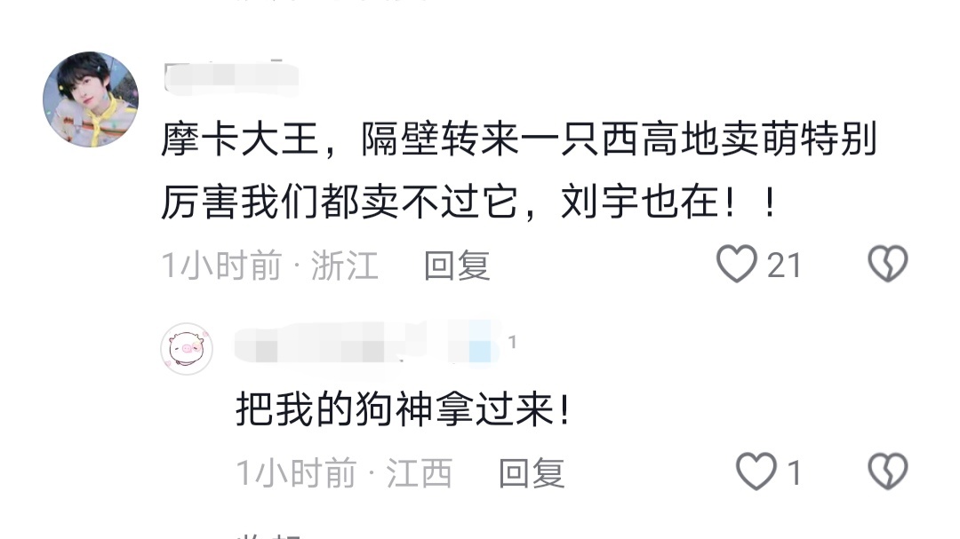 这条评论给我看笑了好有节目