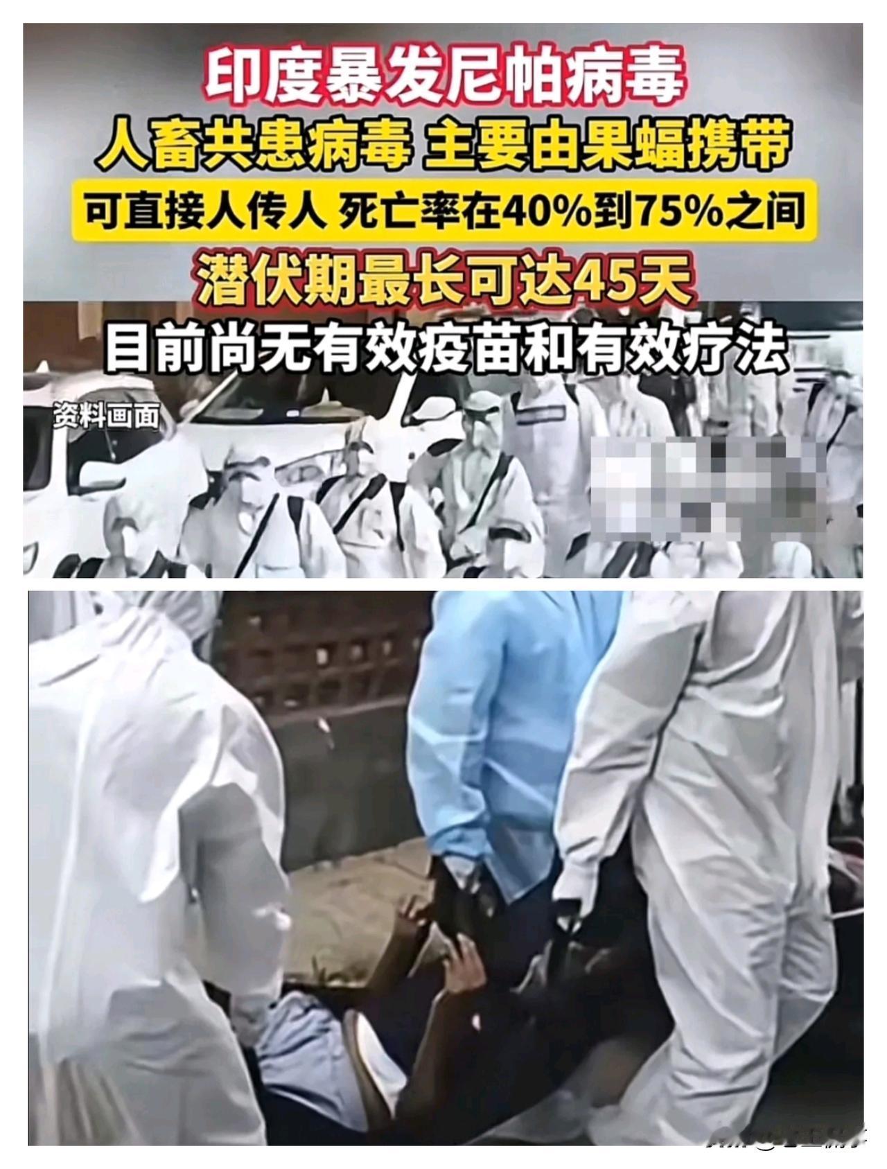 天呐，看新闻报道，这次印度的尼帕病毒来势汹汹，已经出现人传人。

而且死亡率在4