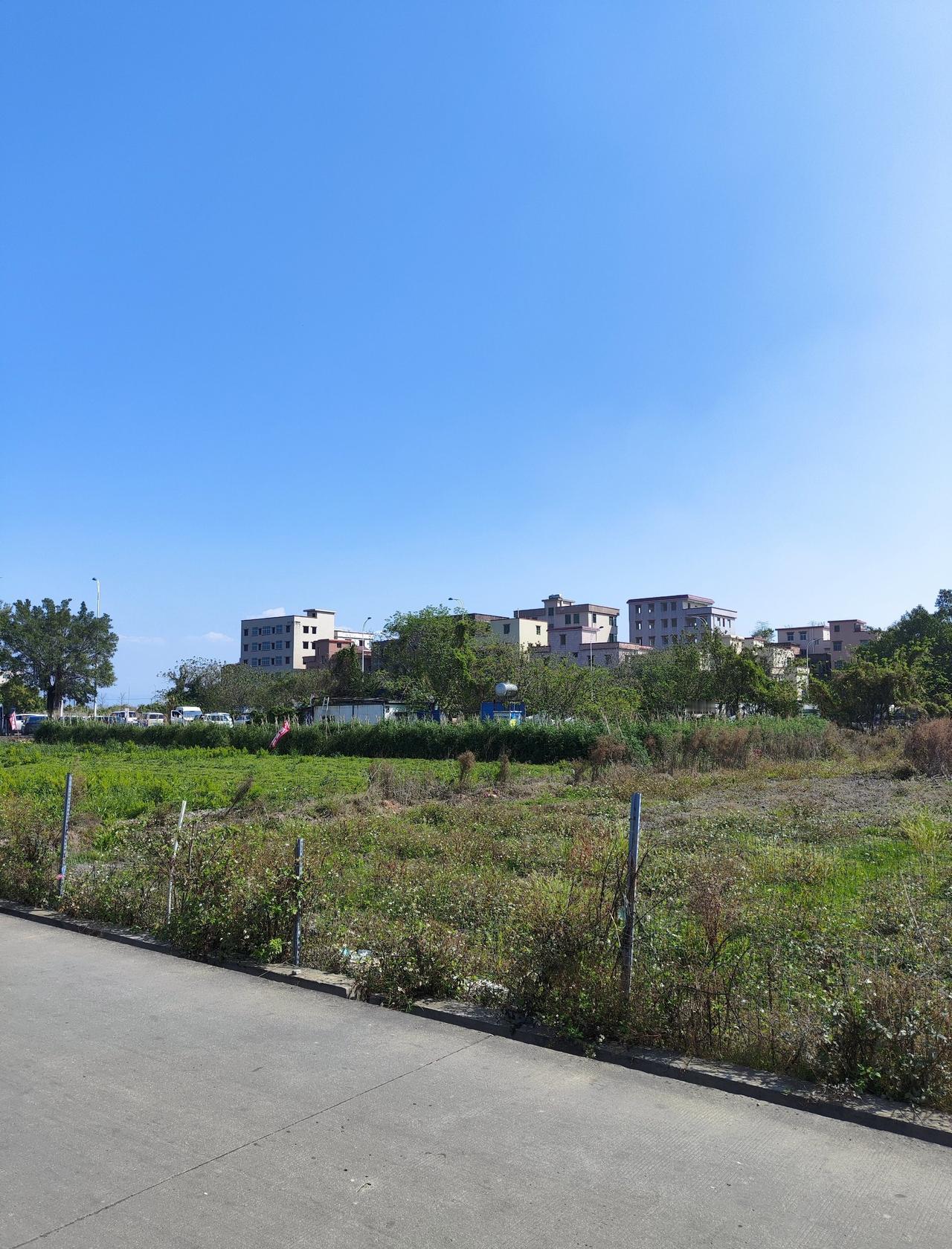 高增村：一半是废墟一半是人间
📍广州 高增村
三月十一日，上午，晴。

站在高