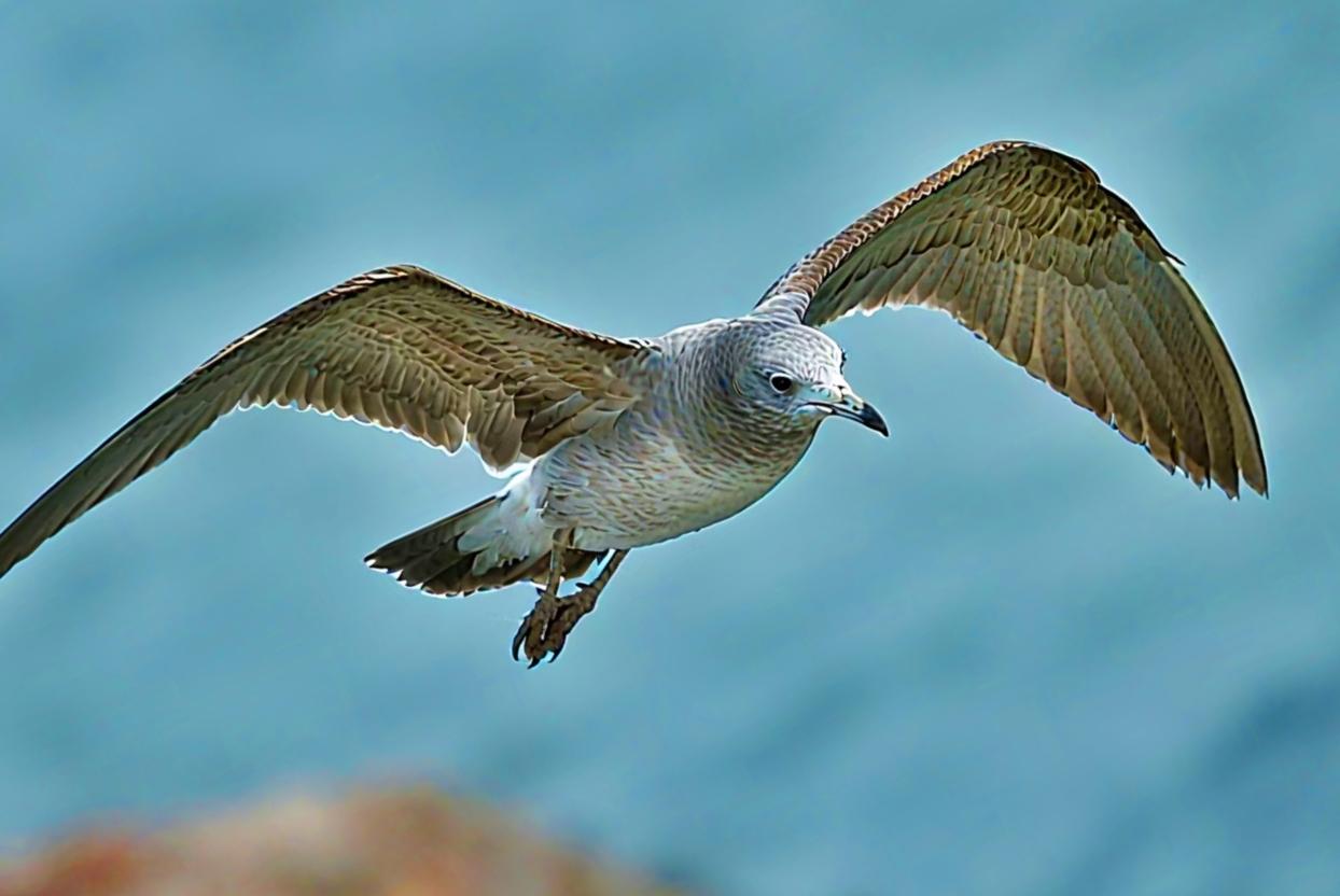 公园美丽景随拍