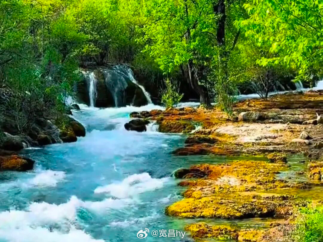 微博云祈福祈福2026华严宗祖庭西安华严寺 小事成就大事，很多成功其实就是由一件