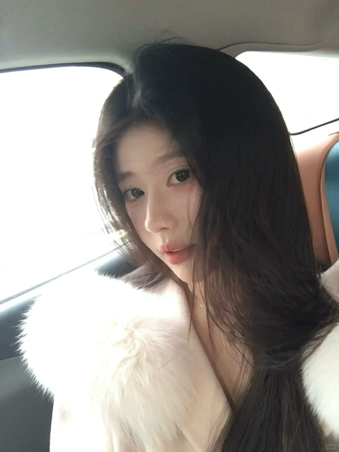 和我一起看银杏