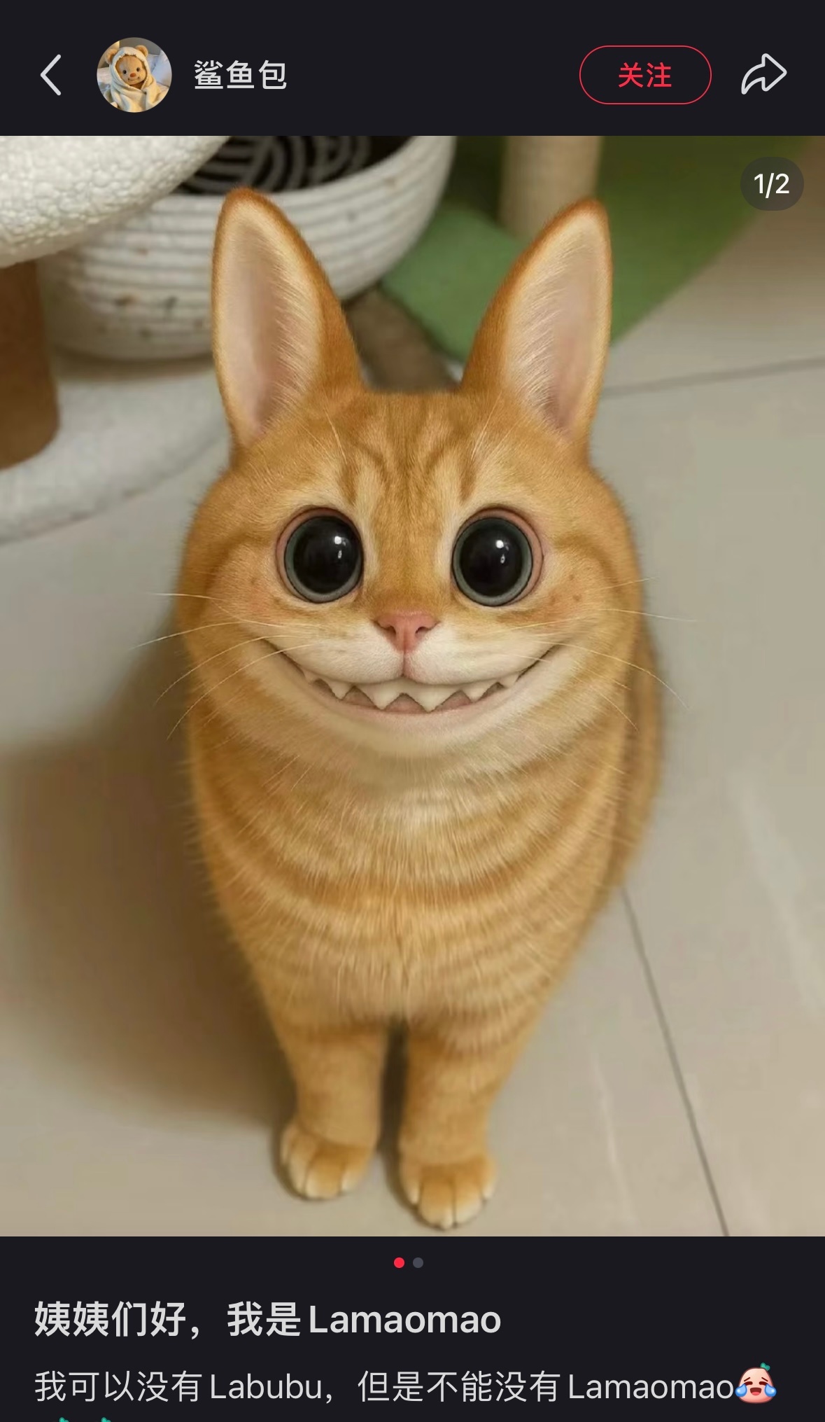 …………咋不把自己p成labubu ​​​
