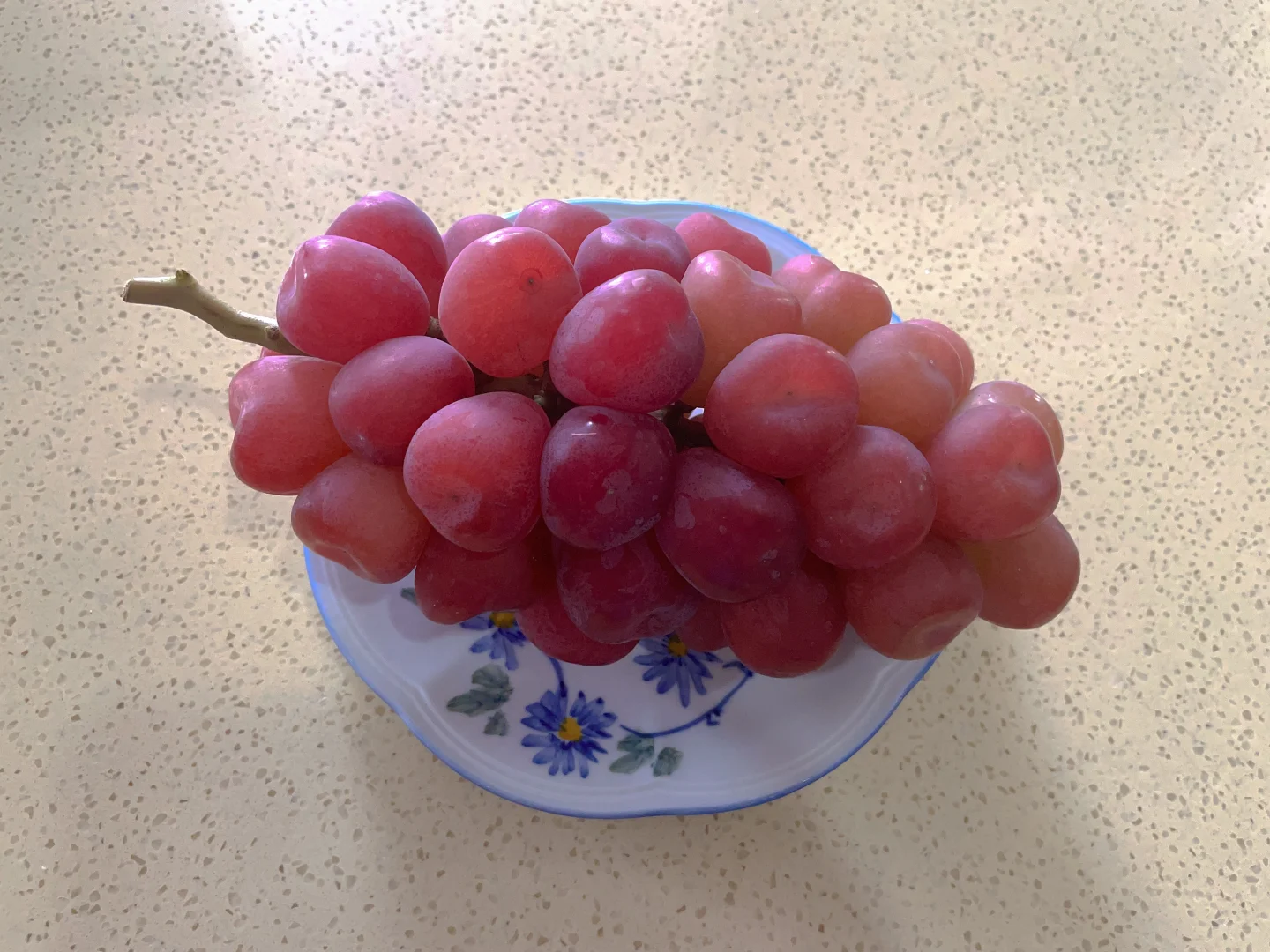 买了葡萄中的爱马仕