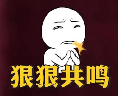 共鸣了