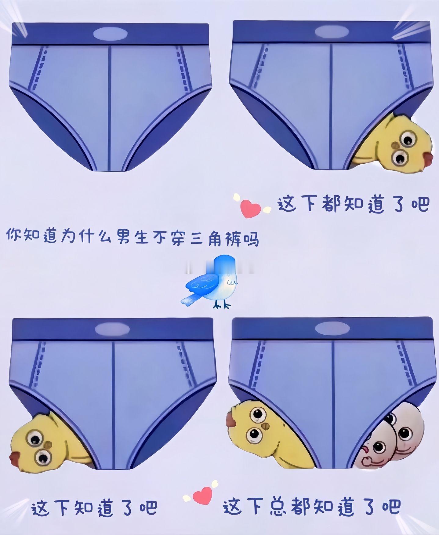终于知道男生为什么不喜欢穿三角内裤，这也太形象了吧 