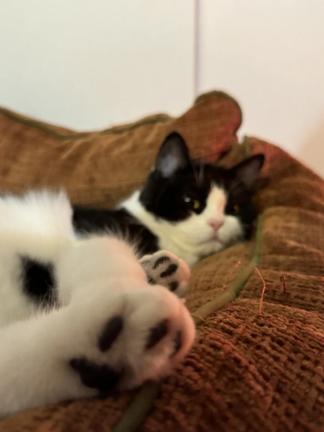 咪的jiojio很曼妙