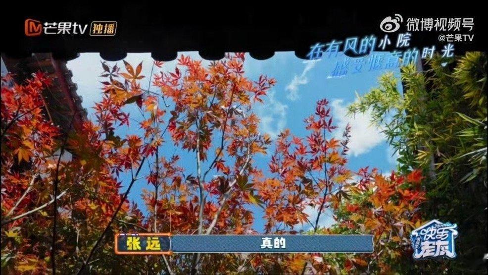 去有风的地方遇上快乐老友去有风的地方的风也是吹到快乐老友记里了！六位老友围炉夜谈