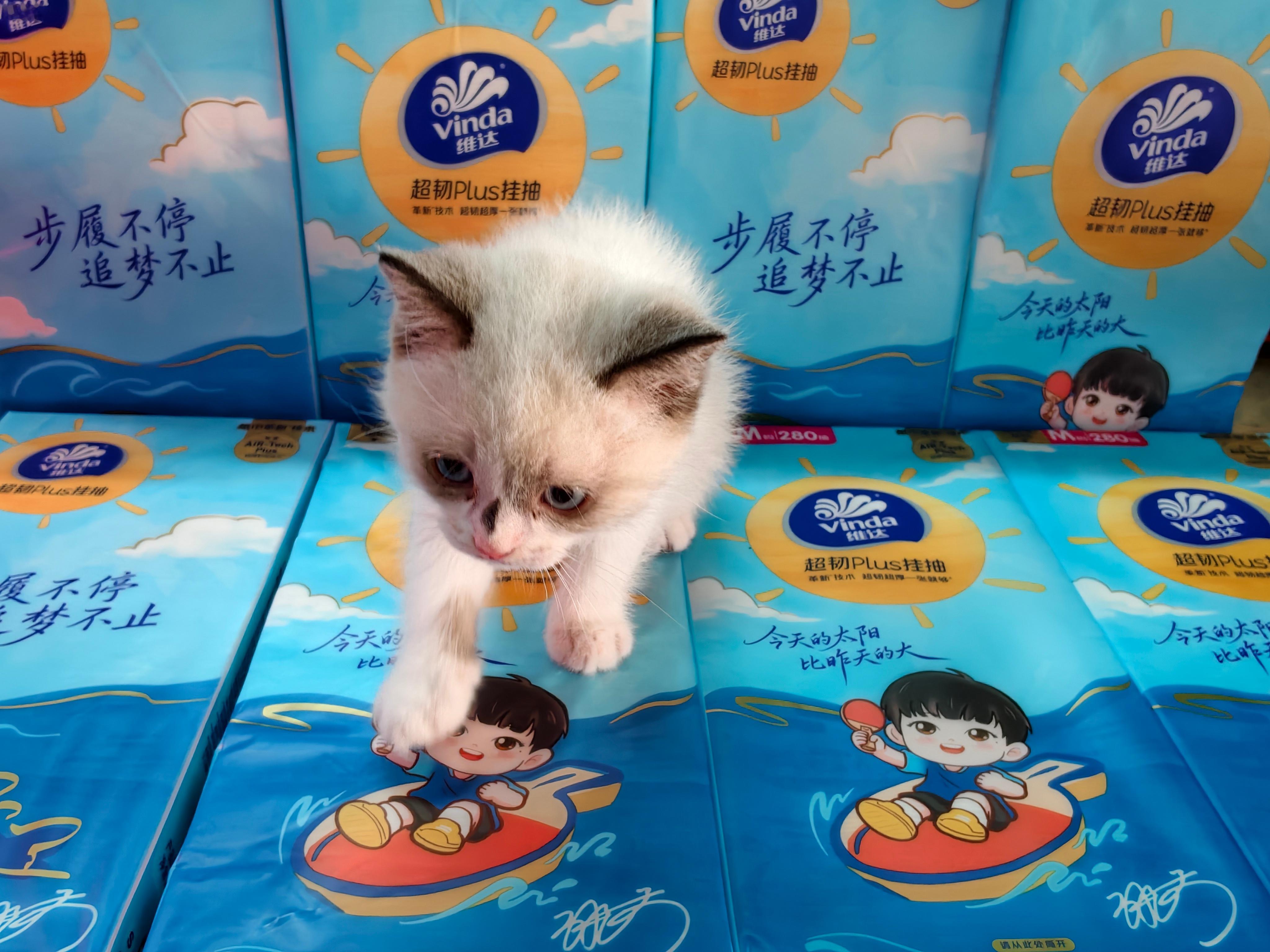 是小糯米啊～ 