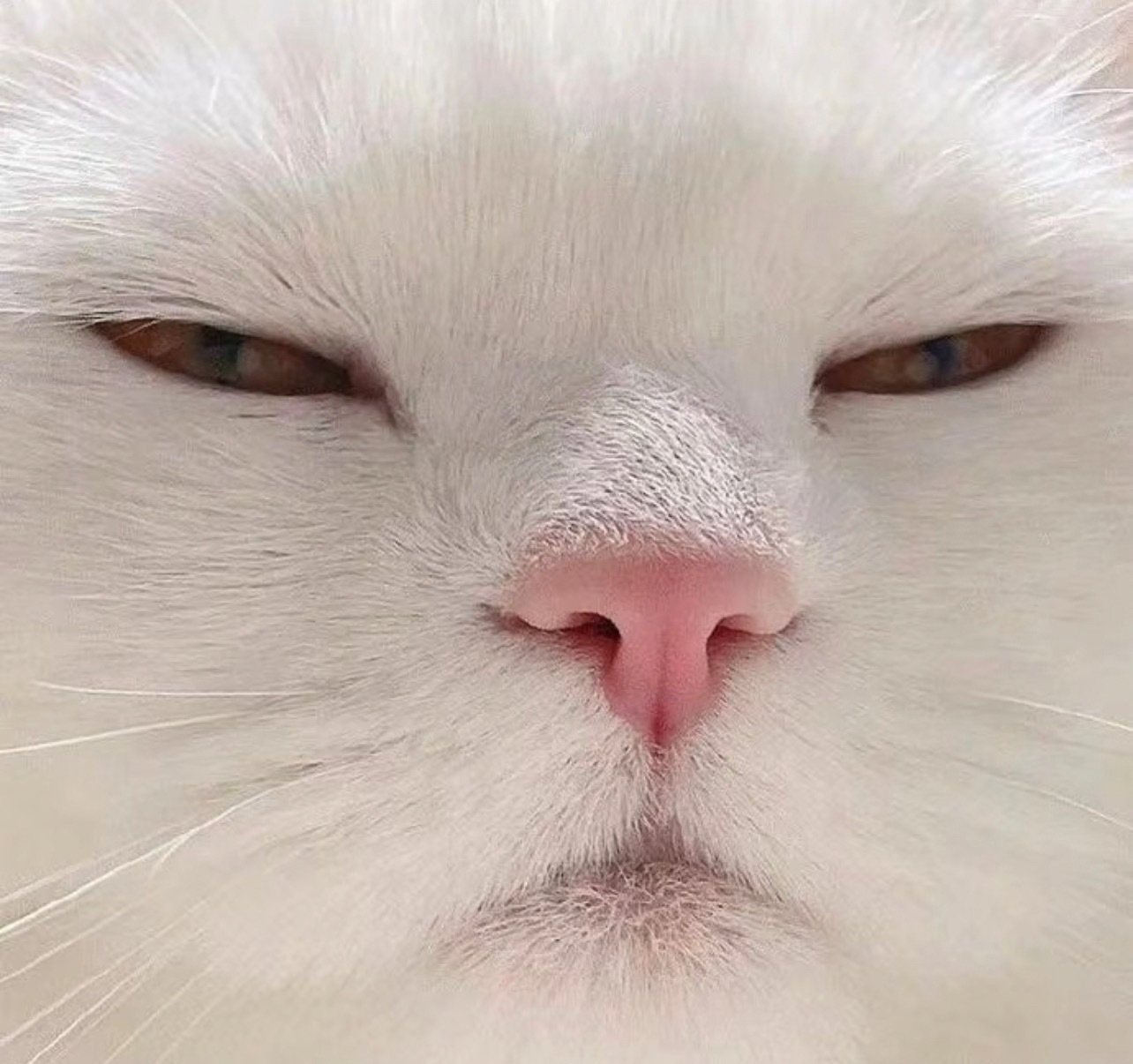 我再也不要被丑东西缠上 