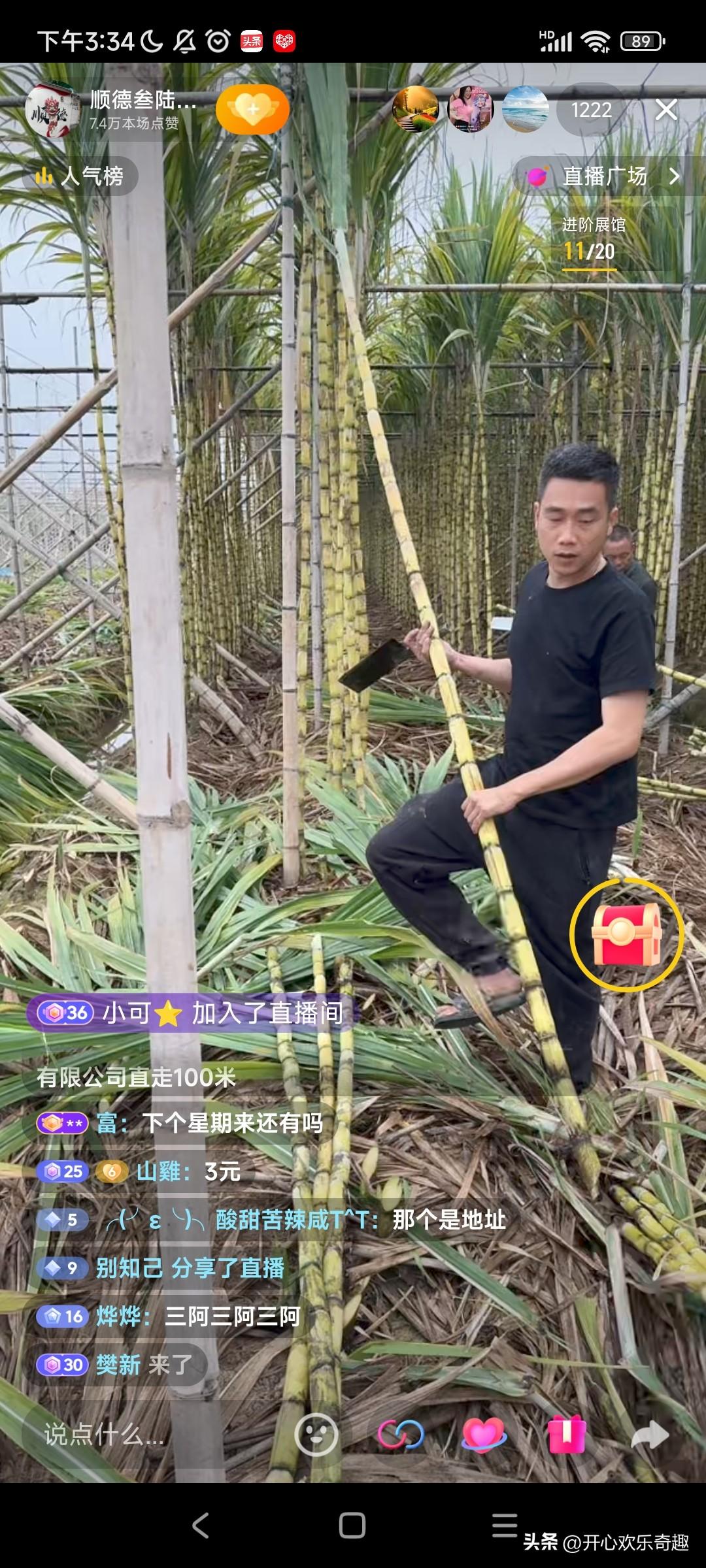 这老板又来直播砍甘蔗了。这段时间广东的甘蔗都是滞销，甚至如果不砍掉他们的话，就会