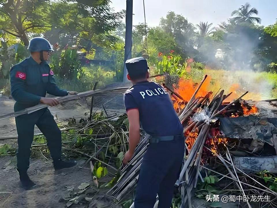 今天传来若开军在缅甸若开邦控制区内严厉打击卡痛叶这种新型毒品的最新消息。卡痛叶是