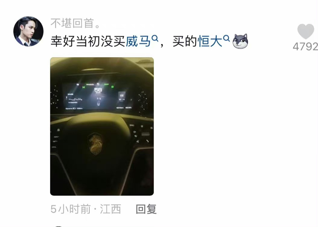 好消息：没买威马坏消息：买了恒大[doge] ​​​