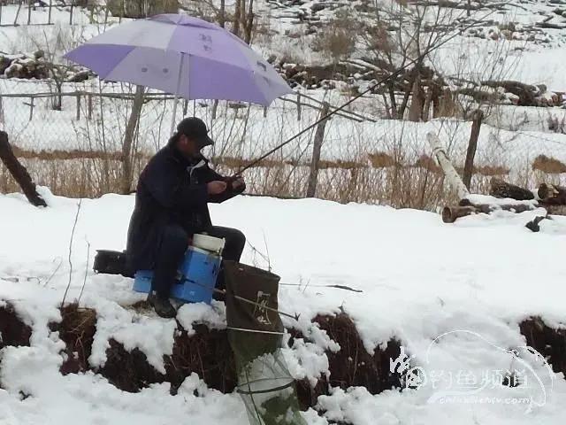 《看天气钓鱼口诀》
1、宁钓北风寒，
        不钓南风暖。
2、雾退见山