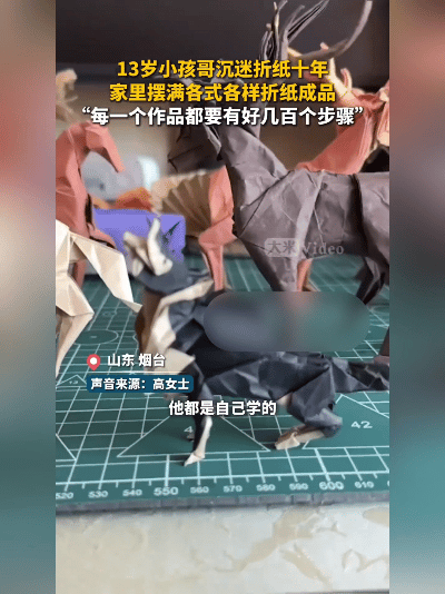 太厉害！山东烟台13岁少年深耕折纸十年，自学成才满屋子作品看呆旁人！
 
近日一
