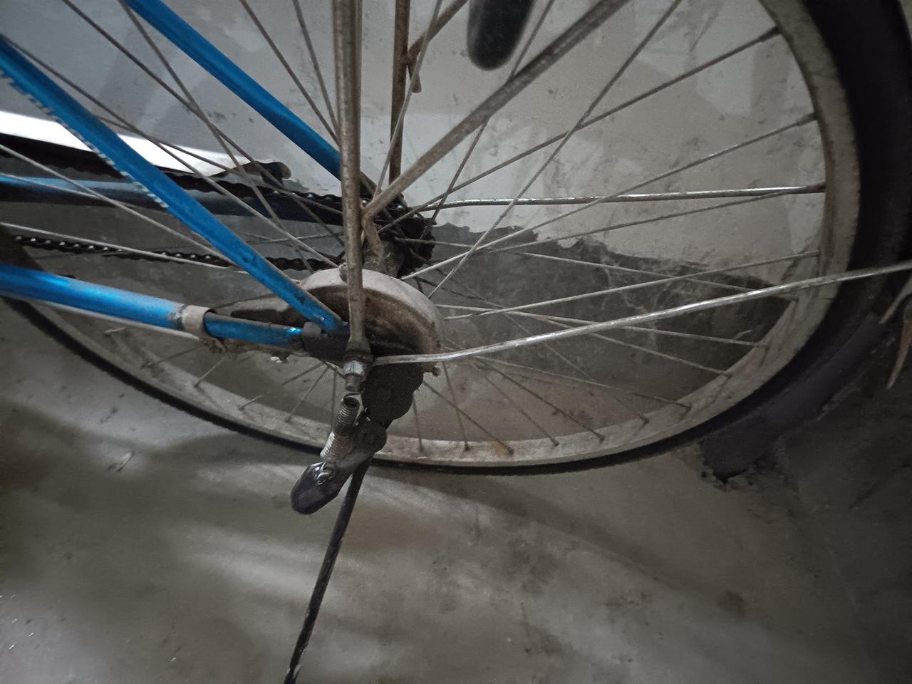 楼上邻居这几天仍然没有见到人影，也没有听到他们老两口的声音，他们放在一楼门口的摩