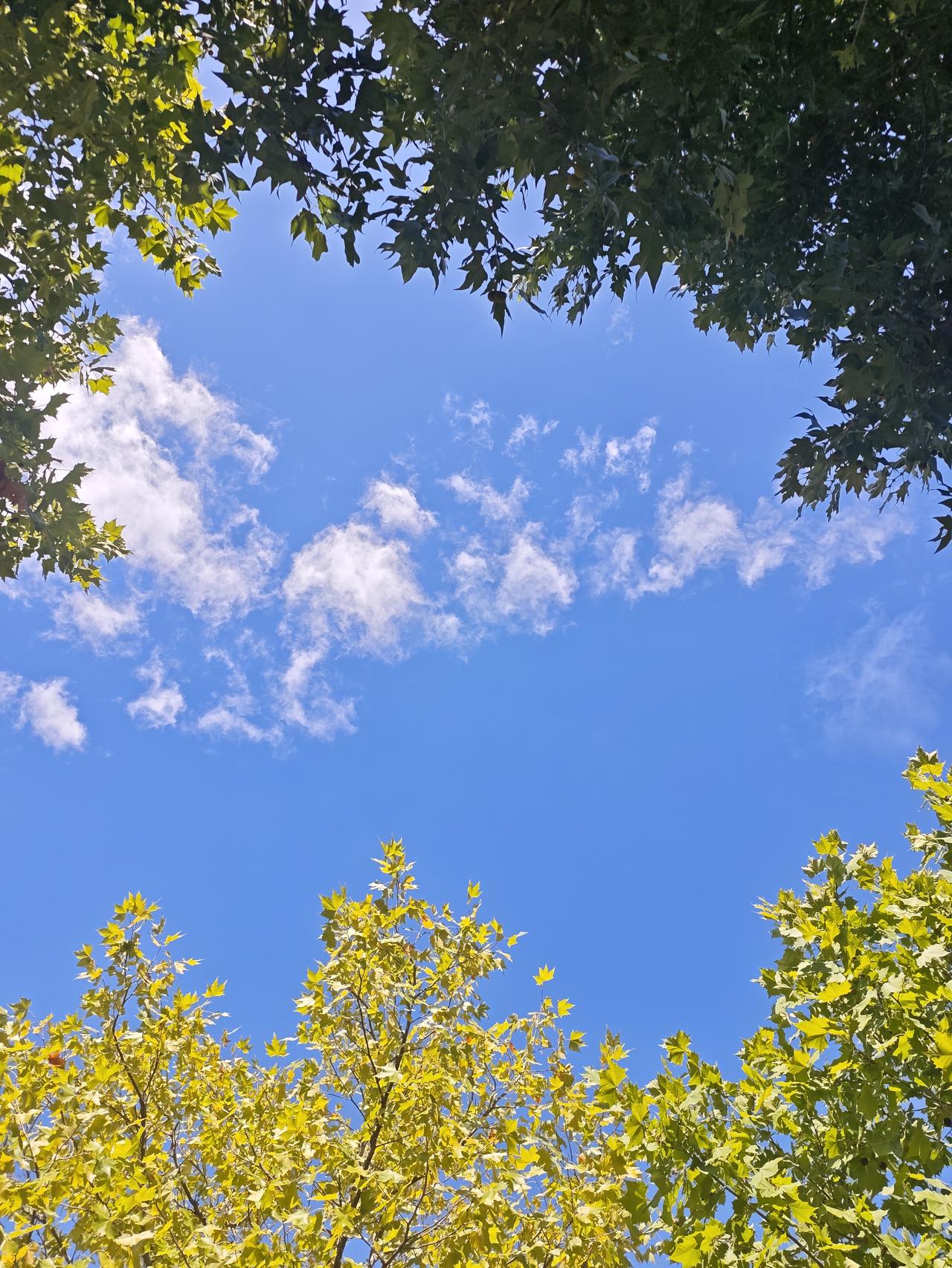 “不是说男孩随妈妈嘛。你怎么越来越像你爸爸了。”
“阿姨，你的意思是说我越长越丑