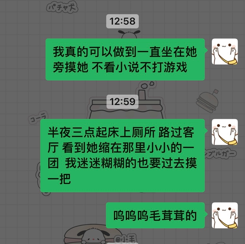 看到小猫就心里软软[抱一抱] ​​​