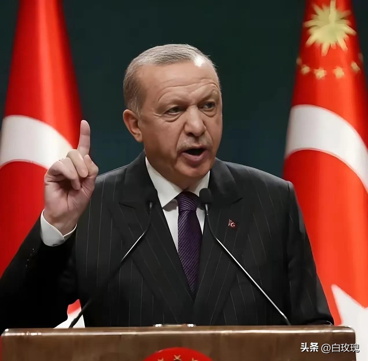 中国和土耳其谈话了
3月25日，土耳其终于等不了了，一通电话打到了中国，土耳其外