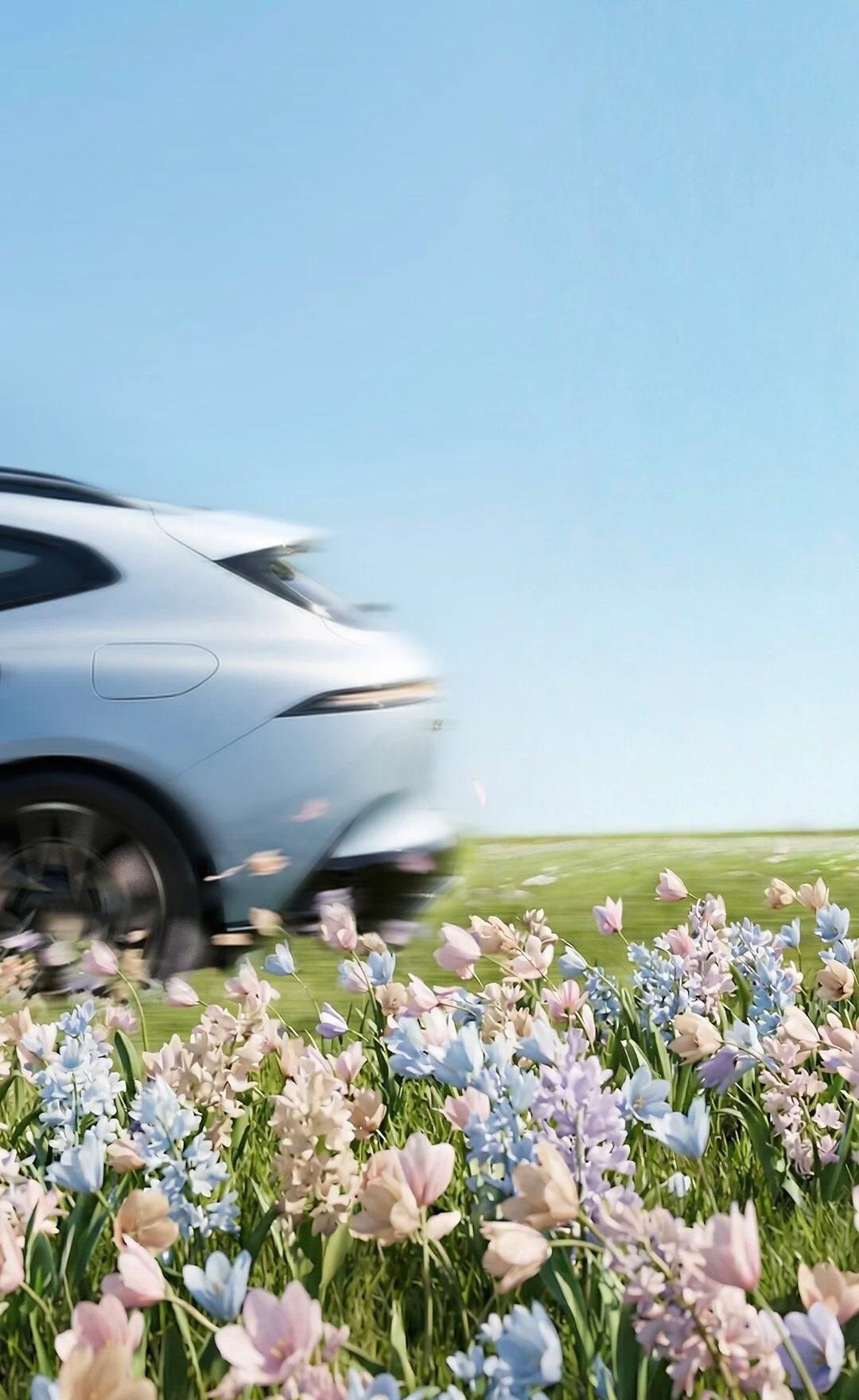 春节后的第一个周末，大家准备去哪里“野”？
一天的话，和小塔在周边踏青赏花是个不