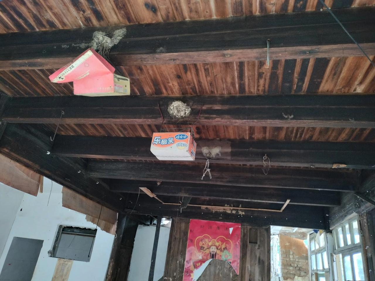 没有人住的房子，连燕子也不肯进去筑巢。
难道燕子真的不进贫寒之家吗？