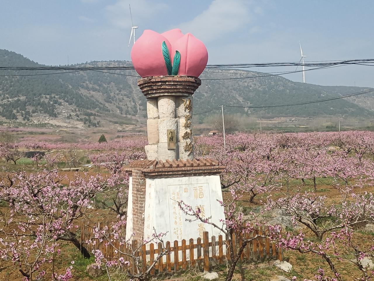 鲁南苏北甜桃第一镇“桃花节”即将举行，先见先悦“桃花盛景”！（图片来源：老山兰随