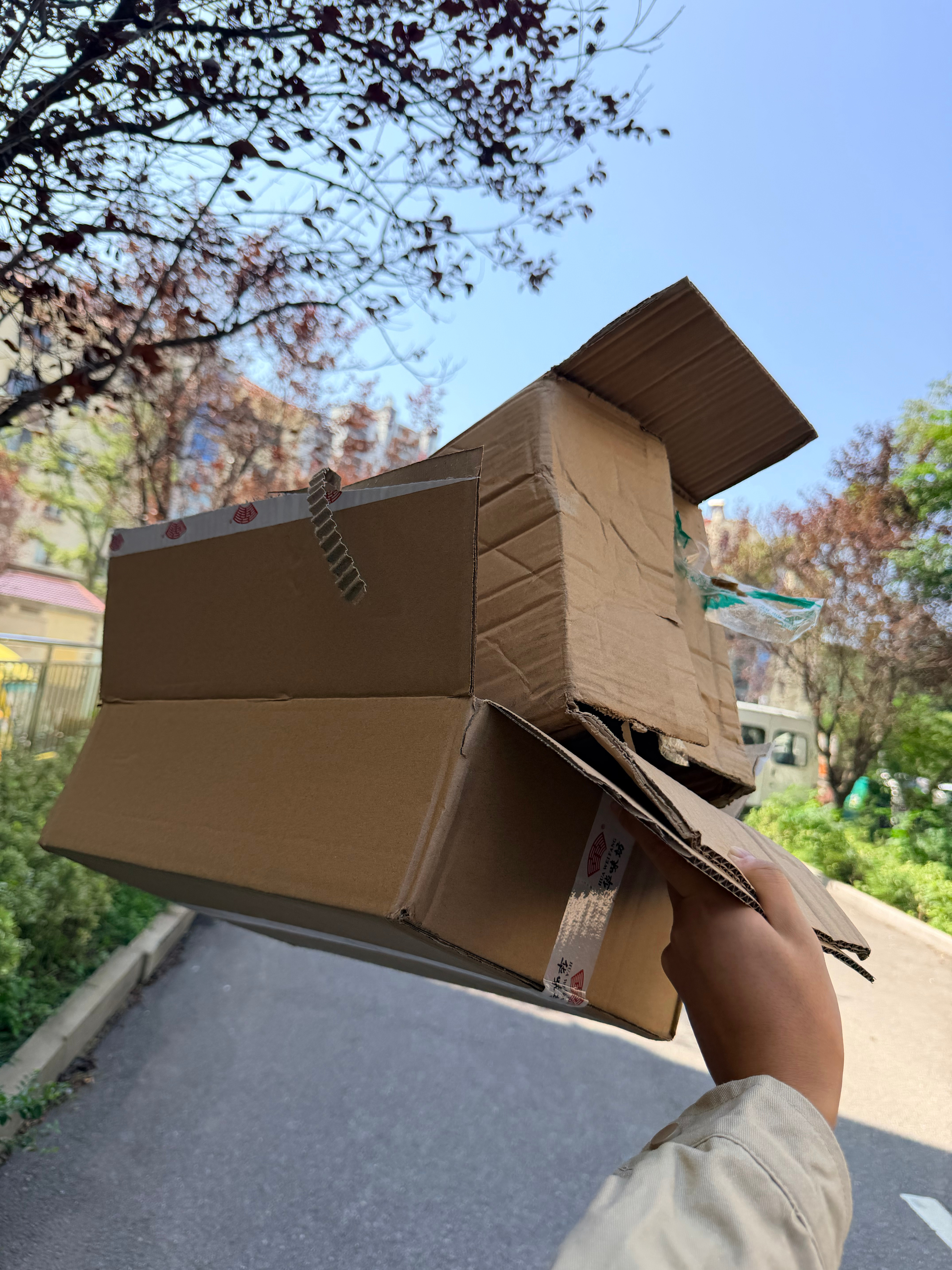 两个纸箱，0.27个大洋，还挺有意思，放进去自动称重～小梦日常分享 ​​​
