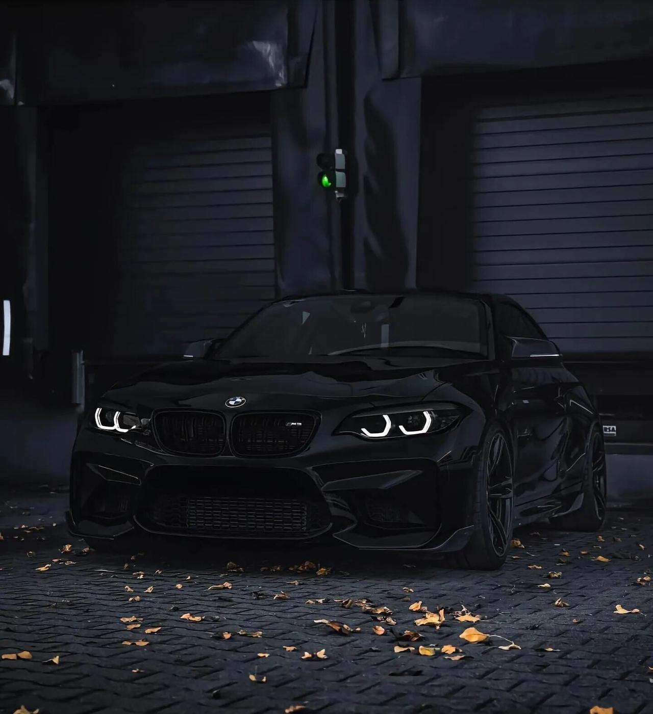 宝马M2，这是谁的梦中情车？不玩虚的排场，只讲最纯粹的驾驶快感。宝马M2，是燃油